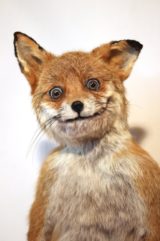 Bad Taxidermy Fox